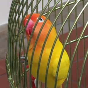 Meet your Posher, Elena